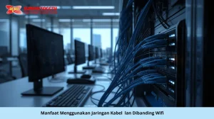manfaat jaringan LAN dibanding WiFi untuk jaringan kantor yang lebih stabil